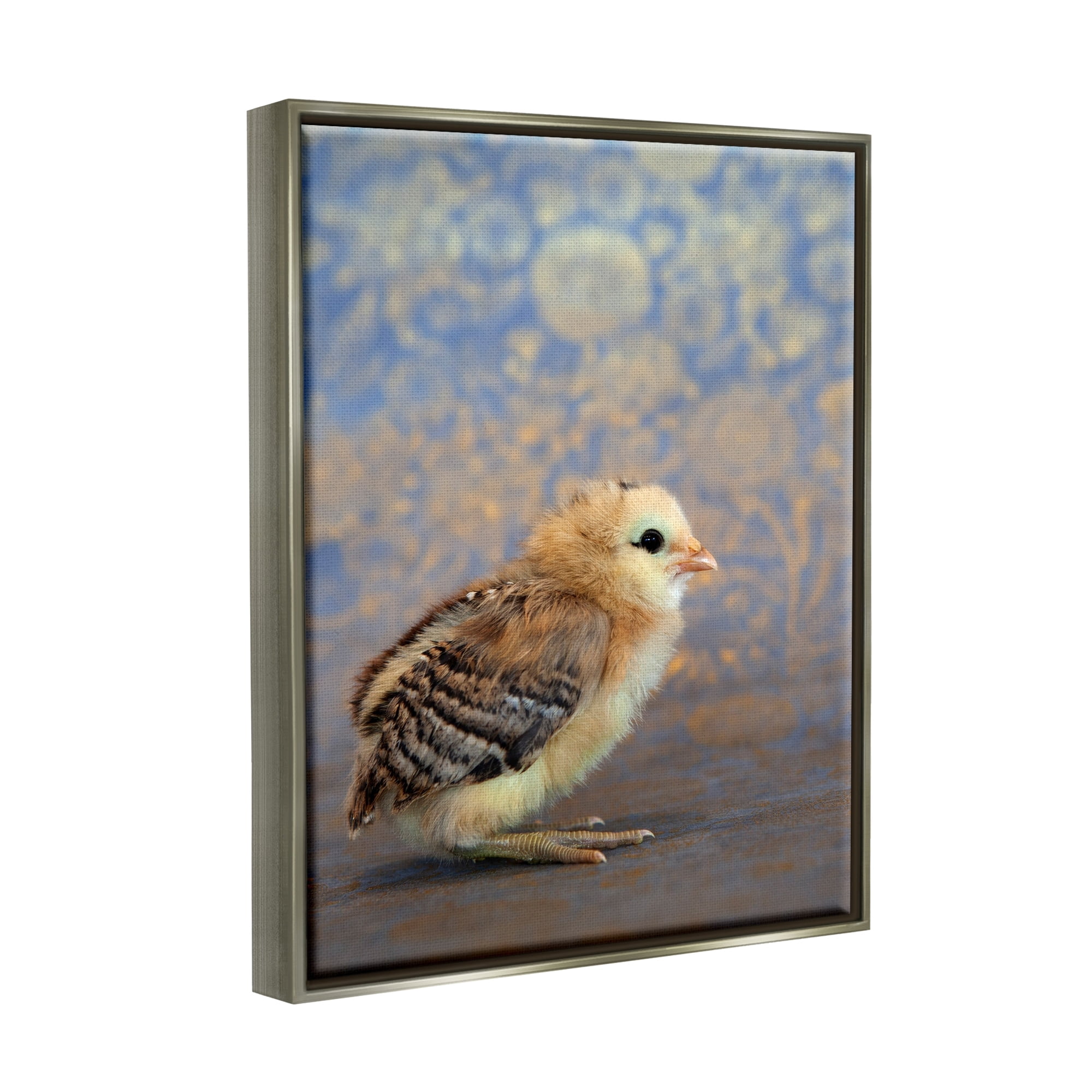 Stupell Industries Tiny Baby Bird Chick Patterned Botanical Backdrop Photograph Luster Gray Floating Framed Canvas Print Wall Art, Design by Tania Soderman