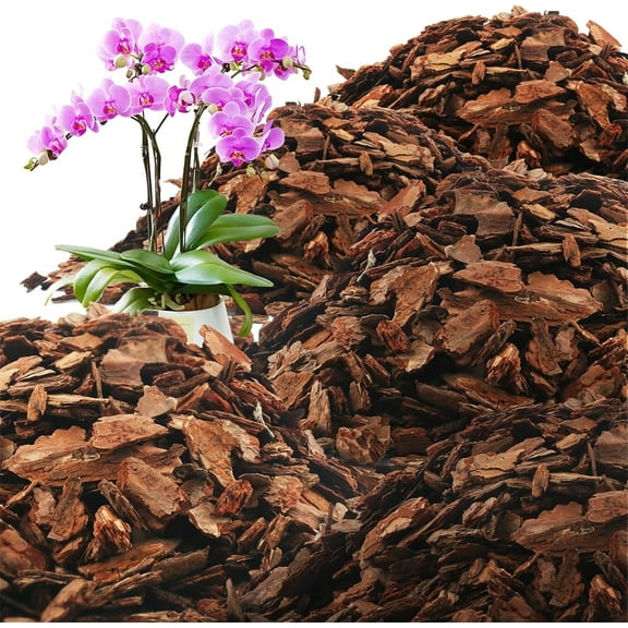 Triani 300g Orchid Bark Planting Soil Natural Orchid Bark Potting Mix Pine Bark Wood Chips for Plants Garden Orchid Medium Indoor Plants(6-12mm)