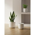thumbnail image 2 of BEMAY 3-Pack Ceramic Plant Pots, 5.7", 6.9", 8.3" Sizes Indoor Planters, White Flower Pots with Drainage Holes, 2 of 9