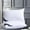 White, variant on Lumxatz Hotel Grade Goose Feather and Down Bed Pillow, Soft Supportive Hypoallergenic Pillow for Back Side and Stomach Sleepers, Skin Friendly Cotton Cover, A
