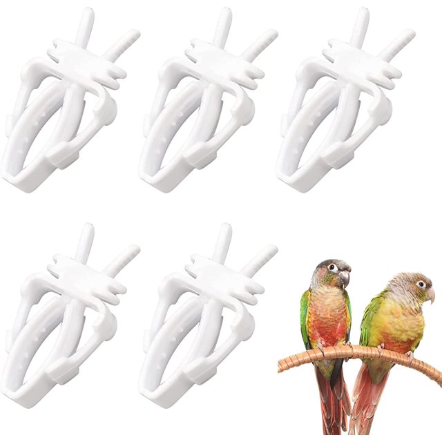 Clip de fruta de pájaro, herramienta de fruta de loro de pájaro, soporte de comida de pájaro, alimentador de jaula de pájaro 5 uds TUNC Sencillez