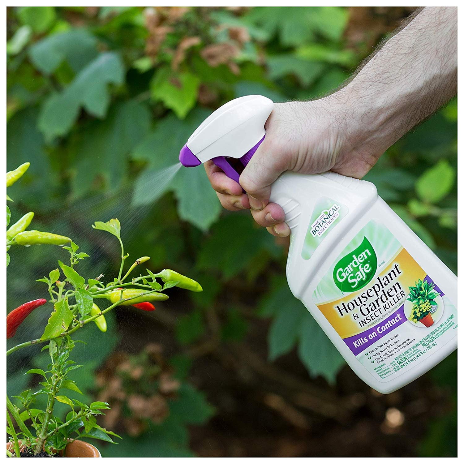 Amazon.com: Safer Brand Garden SG5110 Insect Control and
