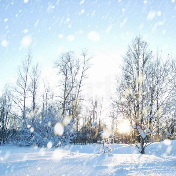 Winter Landscape with Snow, Unframed Photographic Print Wall Art by IgorKovalchuk Sold by Art.Com