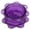 Purple, variant on Garlic Twister – Garlic Mincer & Garlic Press in One, for Ginger, Herbs, Nuts & more, BPA-Free, Dishwasher Safe, 3–5 Clove Capacity, Portable Mini Manual Herb Chopper, 1 Pack,Green