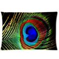 thumbnail image 1 of BOSDECO Creative Peacock Feathers Design Pillow Cases 20x30 inches Two Sides Print, 1 of 1