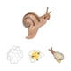 thumbnail image 2 of Figura del ciclo de vida de los animales: aprendizaje preescolar para niños y niñas, rompecabezas científico caracoles 8cm, 2 of 9
