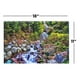 thumbnail image 4 of Rompecabezas CroJack Capital Babbling Brook 500 piezas, 4 of 6