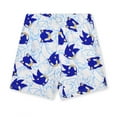 thumbnail image 5 of Sonic The Hedgehog Short Sleeve T-Shirt and Shorts (Boys), 4 Piece Set, Sizes 4-7, 5 of 7