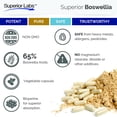thumbnail image 5 of Superior Labs Boswellia Extract 500mg 65% Boswellic Acids with Bioperine Non-GMO Joint & Immune Support Vegan 240 Count, 5 of 9