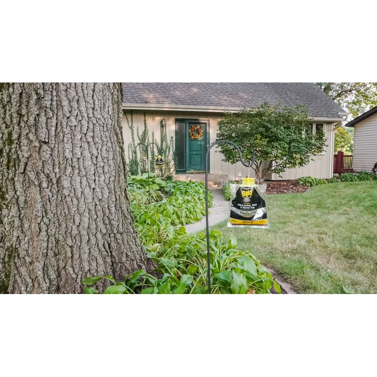 Raid Disposable Yellow Jacket, Wasp Hornet Trap On Vimeo, 40% OFF