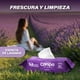 thumbnail image 3 of Compa Wipes Toallas Húmedas Desechables, 6 Paquetes , El Nuevo Papel Higiénico Húmedo, Apto para Desechar en el Inodoro, Hipoalergénicas, Fragancia a Lavanda, Hechas con Fibras Naturales, 3 of 9