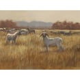 thumbnail image 2 of Harper, Ethan 14x12 White Modern Wood Framed Museum Art Print Titled - Grazing Goats I, 2 of 4