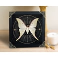 thumbnail image 2 of Framed Luna Wall Art Wooden Shadow Box Astronomy Moon Star Universe Decor Gothic Curiosity Oddity Hanging Tabletop Living Room Artwork K19-39-AS2, 2 of 9