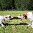 thumbnail image 5 of 2 uds 2 asas Entrenamiento de mascotas mordedura remolcador juguetes perro joven masticar manga del brazo, 5 of 5
