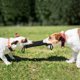 thumbnail image 5 of 2 uds 2 asas Entrenamiento de mascotas mordedura remolcador juguetes perro joven masticar manga del brazo, 5 of 5