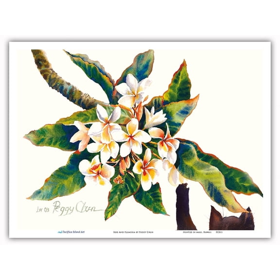 Boo And Plumeria (Pua Melia) - Hawaiian Black Cat (ʻeleʻele Popoki) - From an Original Hawaii Watercolor Painting by Peggy Chun - Master Art Print (Unframed) 9in x 12in