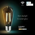 thumbnail image 3 of Globe Electric Wi-Fi Smart 60W Equivalent Vintage Filament Tunable White Amber Glass LED Light Bulb, No Hub Required, Voice Activated, ST19 Shape, E26 Base, 34919, 3 of 5