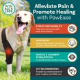 thumbnail image 3 of Rodillera PetCove para perro, para desgarro del ligamento cruzado anterior, pata trasera, talla mediana, 3 of 7