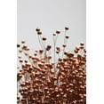 thumbnail image 2 of 1x Studio III 17x24 Gold Ornate Wood Framed with Double Matting Museum Art Print Titled - Dried Grass Copper 01, 2 of 4
