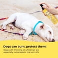 thumbnail image 3 of Protector solar Gentle Creatures Dog SPF 30+ con vitamina E 60 ml, 3 of 6
