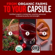 OmniBiotics USDA Organic Cranberry Pills for Women - High Potency 25,000 mg Supplement with 25:1 Fruit Extract - Daily Urinary Tract Support - 120 Vegan Capsules