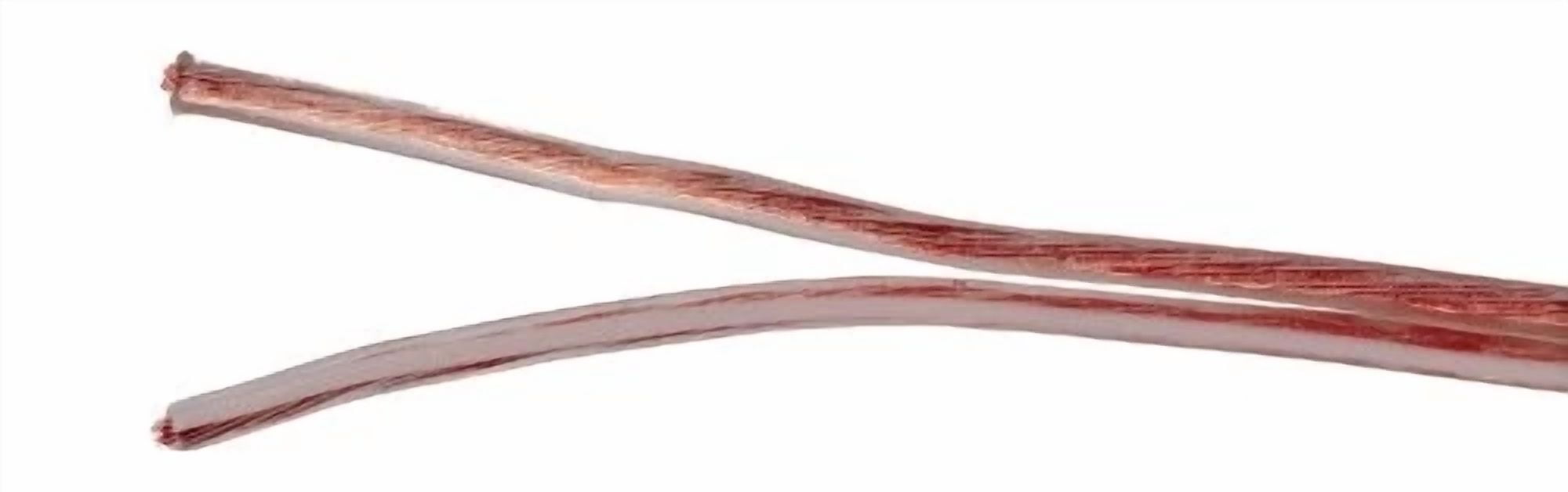 BUTTERFLY- Rca Ah100R 100 Ft. 24-Gauge Speaker Wire
