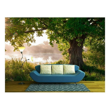 wall26 - Oak tree in full leaf in summer standing alone - Removable Wall Mural | Self-adhesive Large Wallpaper - 66x96