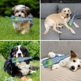 thumbnail image 5 of Juguete Masticable Metionc Dog Toys para Perros Masticadores Agresivos con Sonido y Pelota, 5 of 5
