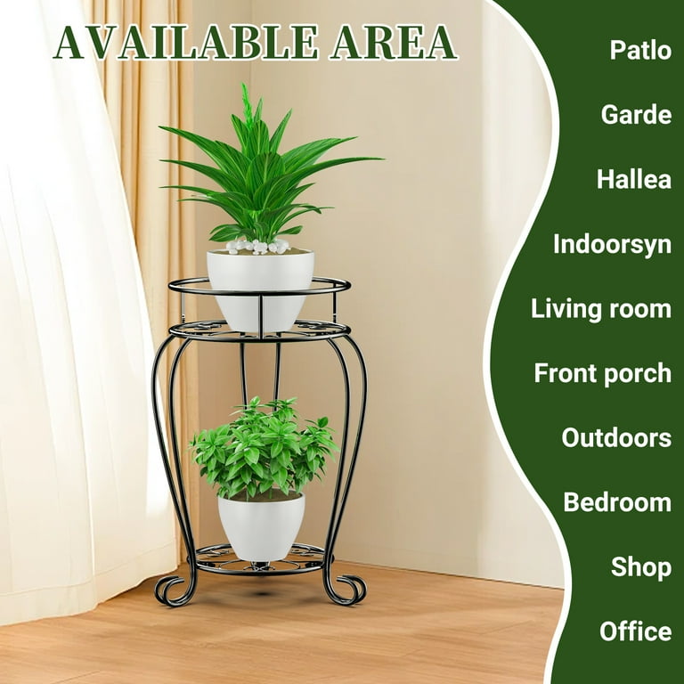 dracaena fragrans plant Dracaena Fragrans Green
