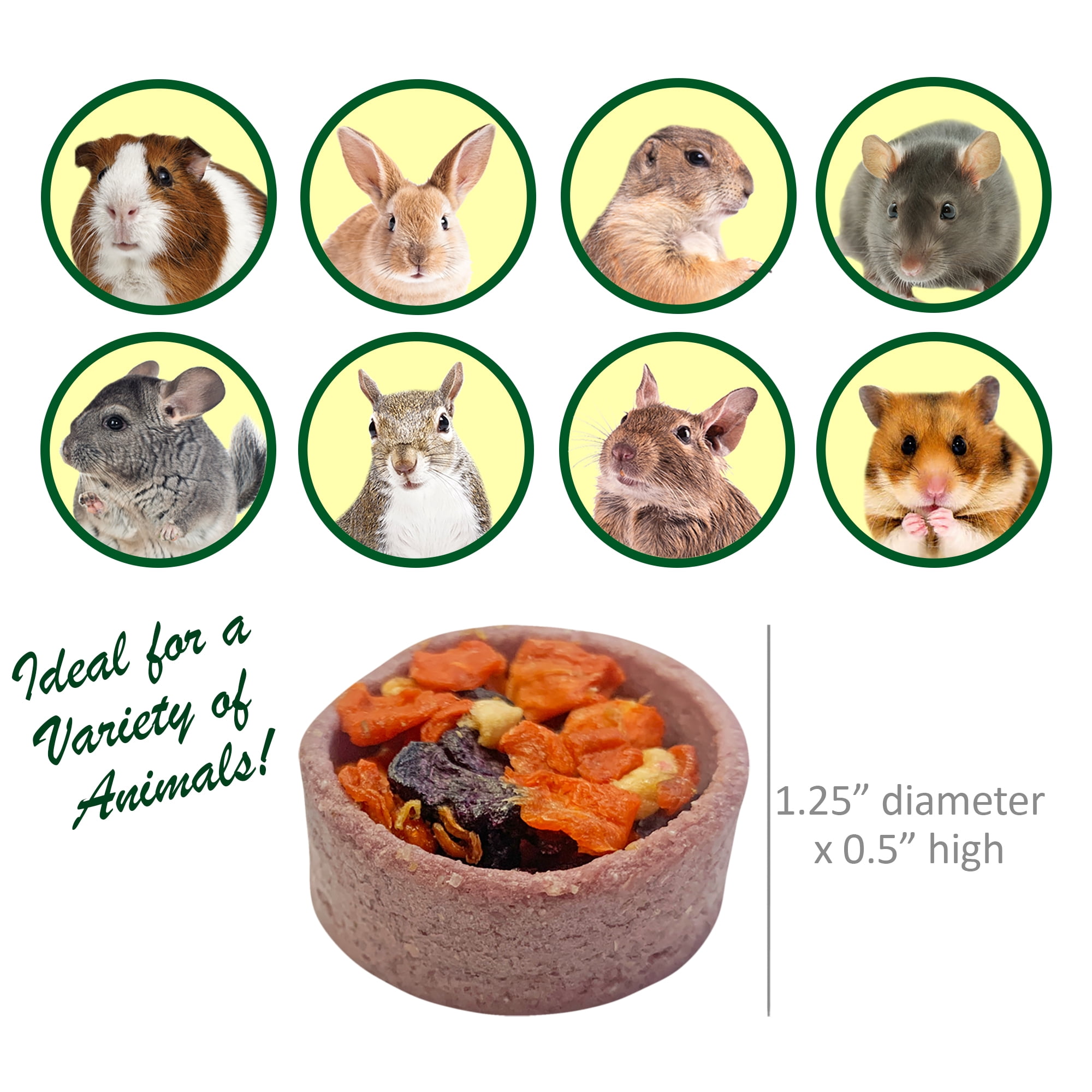 Exotic Nutrition Fruit & Veggie Tarts (12pk) - Delicious Healthy Treat for Guinea Pigs, Chinchillas, Rabbits, and Small Animals