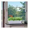 thumbnail image 4 of Herb Planter Pot,12x3.8x4.6In Plastic Window Box with Drainage for ,Reusable Rectangular Windowsill Planter for Porch,Home Decor,White,1Pack, 4 of 6