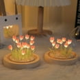 thumbnail image 4 of Paquete de material de bricolaje hecho a mano con luz de noche de tulipán, luz de ambiente de escritorio creativa, decoración, 4 of 5