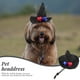 thumbnail image 5 of GOOHOCHY Sombrero decorativo con diseño de rosa y encaje para mascotas, ideal para fiestas de Halloween, festivales y disfraces de perros (negro), 5 of 8