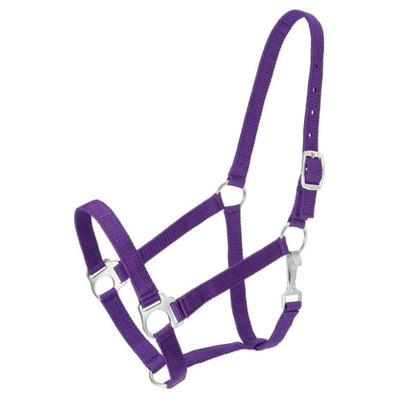 Tough-1 Economy Halter - Purple - Pony