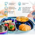 thumbnail image 4 of Stainless Steel Kids Plates | Pediatrician Designed | Balanced Bites Divided Plates for Toddlers | Non Toxic & 100% BPA Free | Dishwasher Safe | Set of 4 (Iridescent Blue), 4 of 16