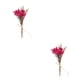 thumbnail image 1 of Billuyoard Durabilidad y encanto duraderos en ramo de flores secas naturales flor en relieve elegante HS-19 HS-19 2Conjunto, 1 of 6