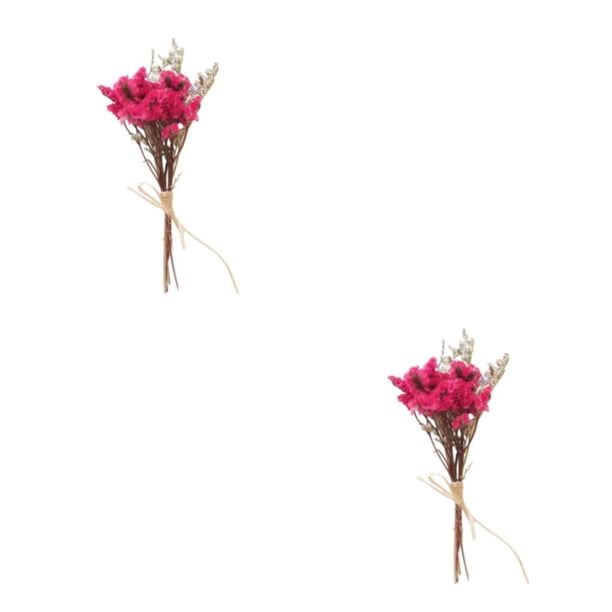 Billuyoard Durabilidad y encanto duraderos en ramo de flores secas naturales flor en relieve elegante HS-19 HS-19 2Conjunto