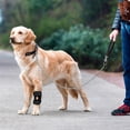 thumbnail image 4 of Fleibrace Knee Brace Stabilizing Support For Dogs & Cats, Patella Protection & Ligament Joint Dislocation Rehabilitation, Enhanced Mobility & Recovery, Large Size For Medium/Large, 4 of 5