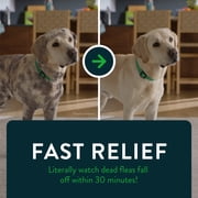 (2 pack) CAPSTAR (Nitenpyram) Fast-Acting Oral Flea Treatment for Large Dogs (over 25 lbs), 6 Tablets, 57 mg