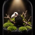 thumbnail image 5 of CQCYD Under $5 Halloween Figurine Decor, Spooky Holiday Statue, Plastic Shelf Decoration for Home Office Desktop Tabletop Display, 5 of 7