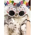 thumbnail image 2 of SHELLTON Happy Birthday Glasses Novelty Eyewear Sunglasses Birthday Party Favors Photo Booth Props for Teens Adults 2 Pairs, 2 of 6