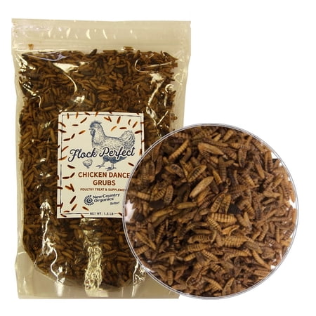 New Country Organics | Flock Perfect Chicken Dance Grubs for Chickens | 1.5 lbs