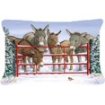 thumbnail image 1 of Carolines Treasures ASA2198PW1216 Donkeys & Robin Fabric Decorative Pillow, 1 of 3