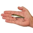 thumbnail image 4 of Berkley Ripfish, 9, Gold Chrome, 4 of 5