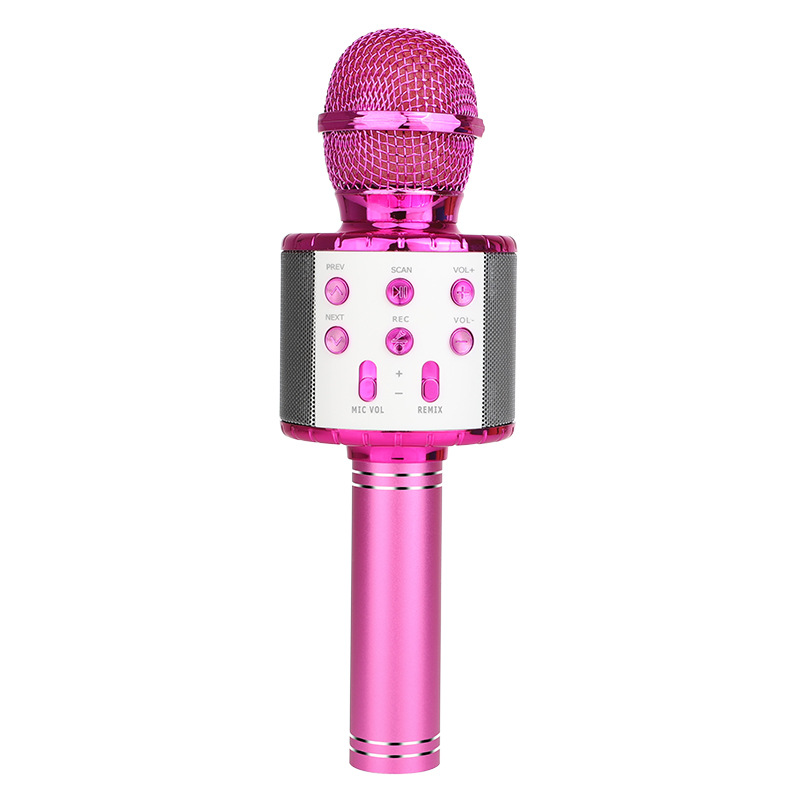 TYPPKMM Toy Microphone For 7 8 9 10 Year Old Girls, Christmas Birthday Gifts For 612 Years Old