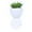 A, variant on Desktop Ornament Lazy Man's Mini Planter with Dummy Easy Care Decorative Pots for Desktop and Ideas