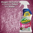 thumbnail image 3 of OdoBan Pet Solutions Oxy Stain Remover, Pet Stain Eliminator, 10-Pack, 32 Ounce Spray Each, 3 of 6
