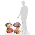 thumbnail image 2 of Coral Reef Fish Cutouts (Pack of 12), 2 of 2