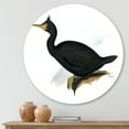 thumbnail image 2 of Designart 'Ancient Bird Life IV' Traditional Circle Metal Wall Art 23x23 - Disc of 23, 2 of 5