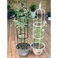 thumbnail image 6 of SDFGTstore Tower Obelisk Garden Trellis U-Shaped Plant Stand Flower Climbing Frame Rust-resistant Stainless Steel Flower Support, 6 of 15